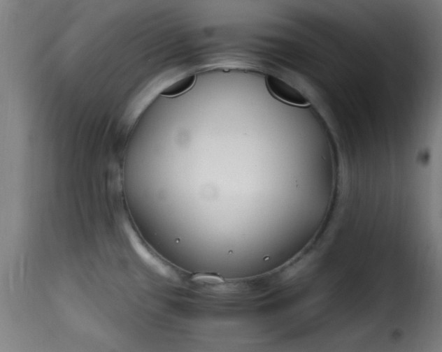 X0000115481433200911201829