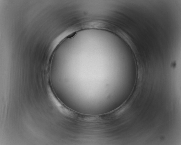 X0000115481434200911201829