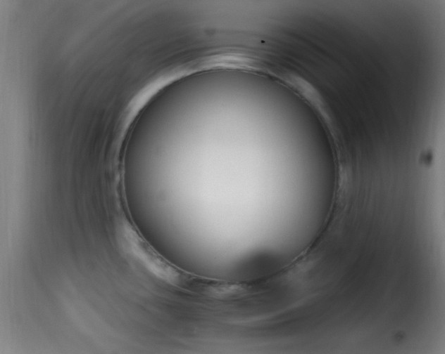 X0000115481435200911201829