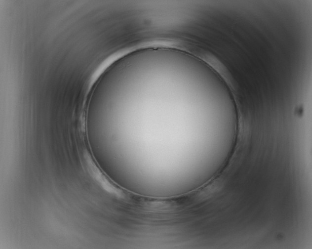 X0000115481436200911201829