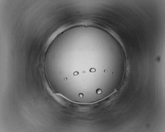 X0000115481437200911201829