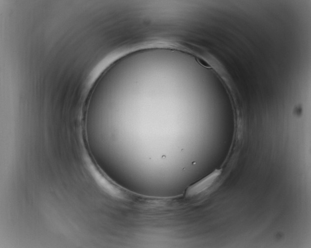 X0000115481438200911201829