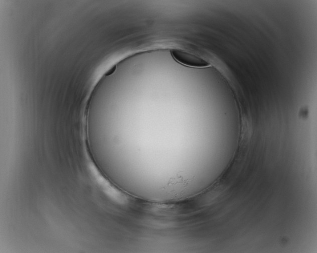 X0000115481439200911201829