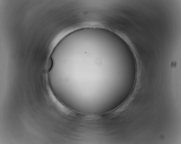 X0000115481440200911201829