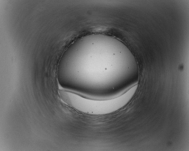 X0000115481441200911201829