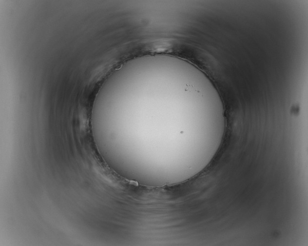 X0000115481442200911201829