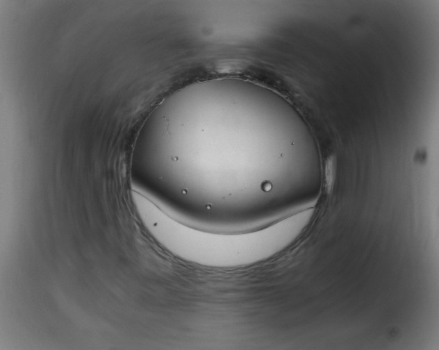 X0000115481443200911201829