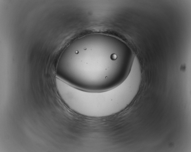 X0000115481444200911201829