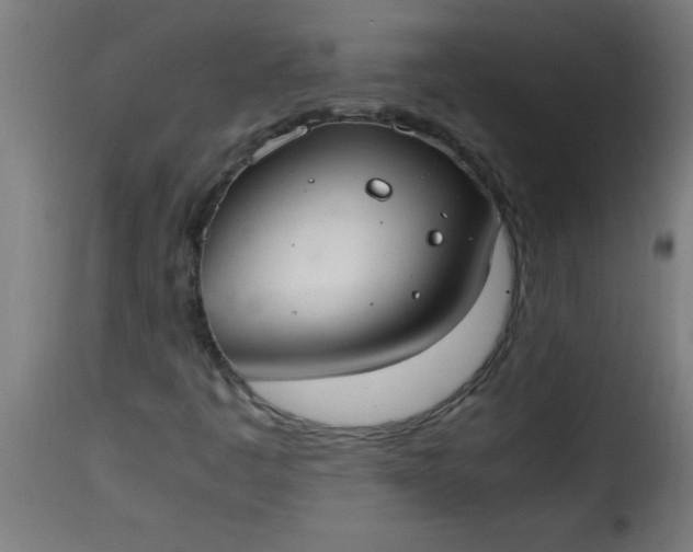 X0000115481445200911201829