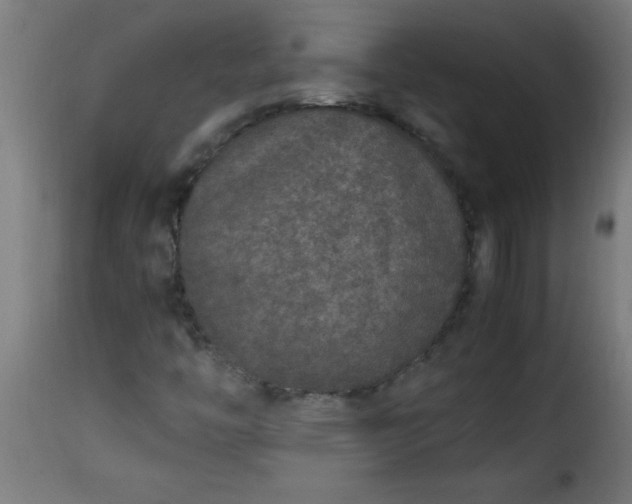 X0000115481446200911201829