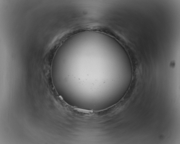 X0000115481447200911201829