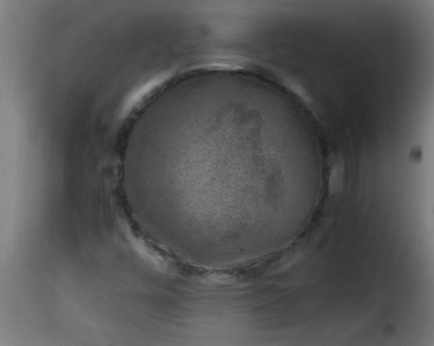 X0000115481448200911201829