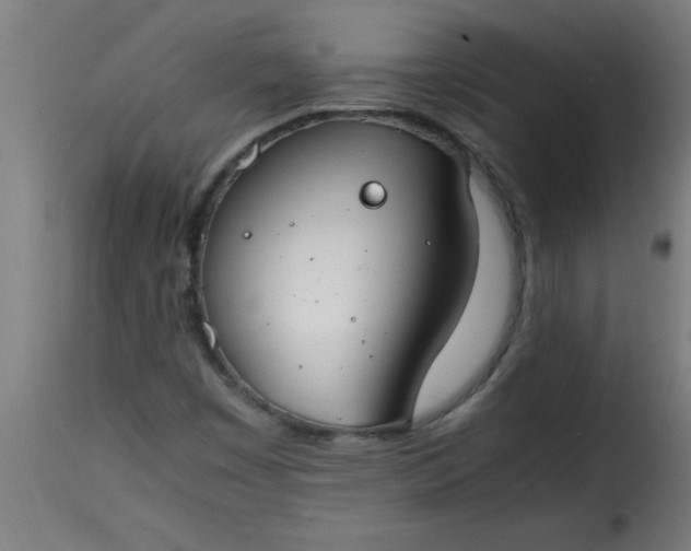 X0000115481449200911201829