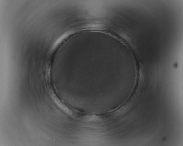 X0000115481450200911201829