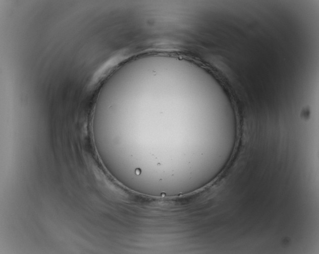 X0000115481451200911201829