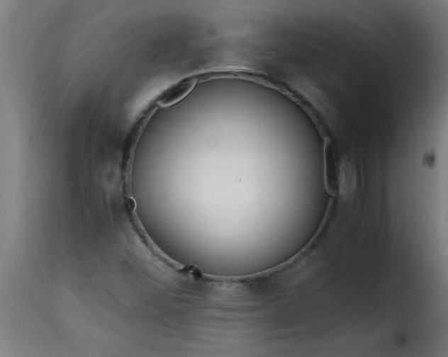 X0000115481452200911201829