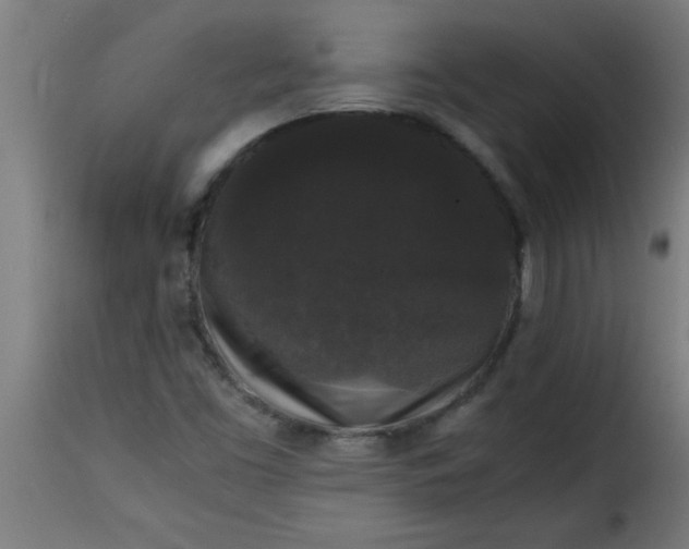 X0000115481453200911201829