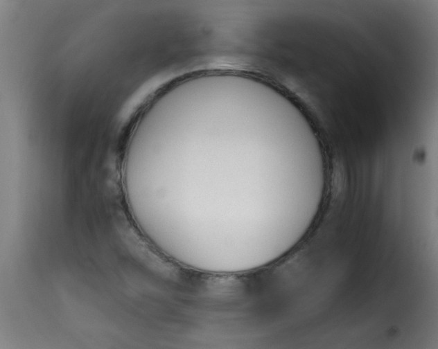 X0000115481454200911201829