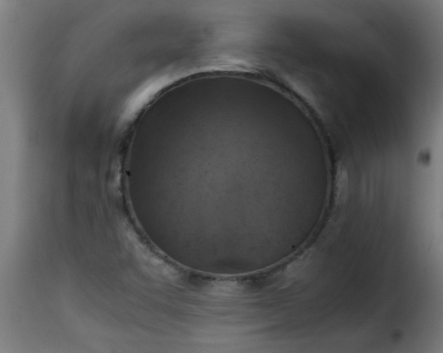 X0000115481455200911201828