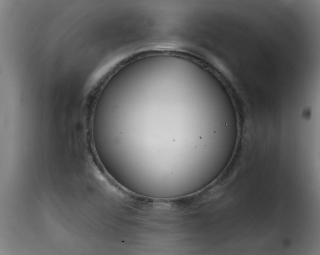 X0000115481456200911201828