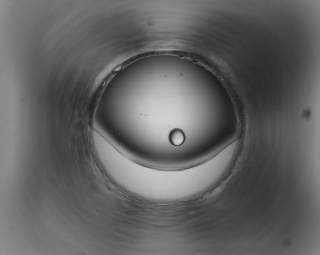 X0000115481457200911201828