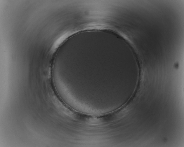 X0000115481459200911201828