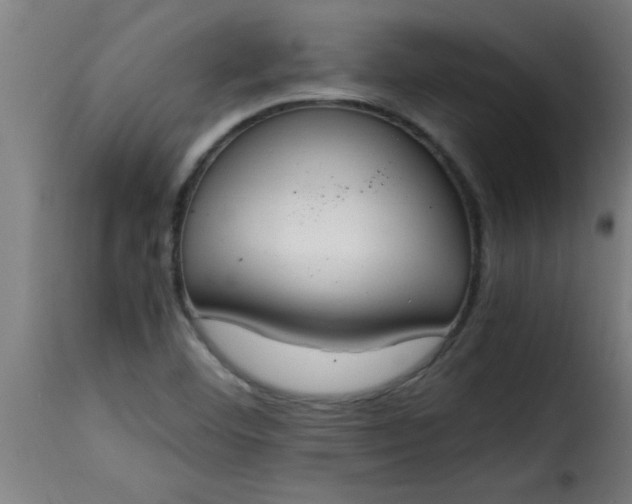 X0000115481460200911201828