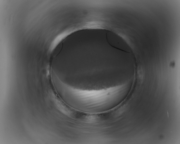 X0000115481461200911201828