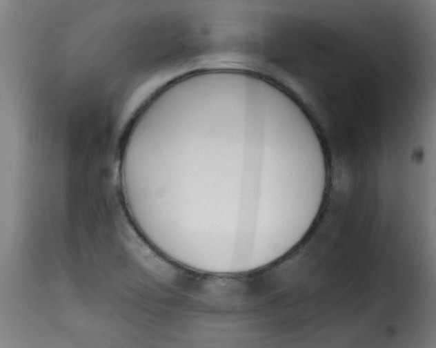 X0000115481462200911201828