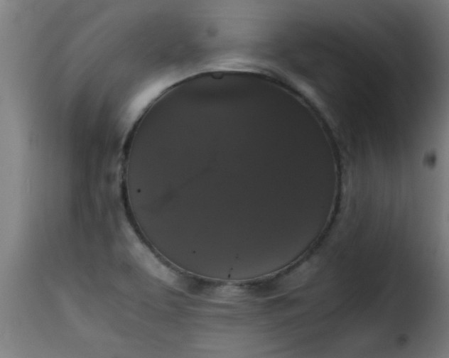 X0000115481463200911201828