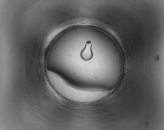 X0000115481464200911201828