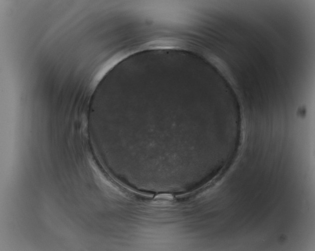 X0000115481465200911201828