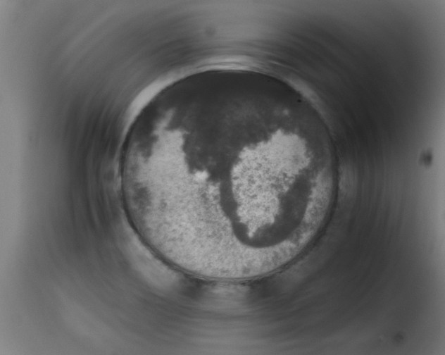 X0000115481466200911201828