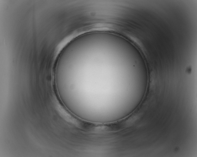 X0000115481467200911201828