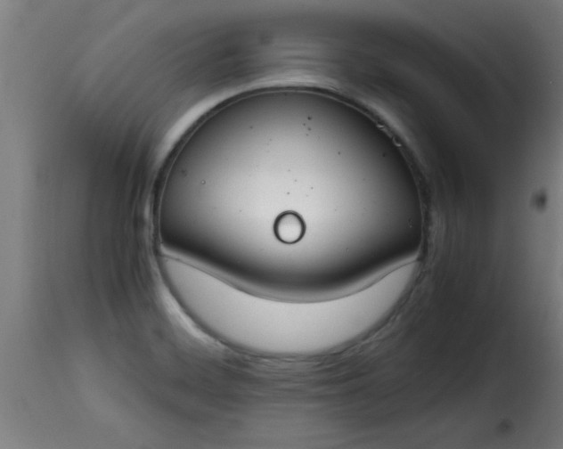 X0000115481468200911201828