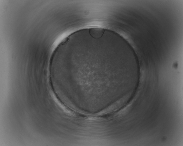 X0000115481469200911201828