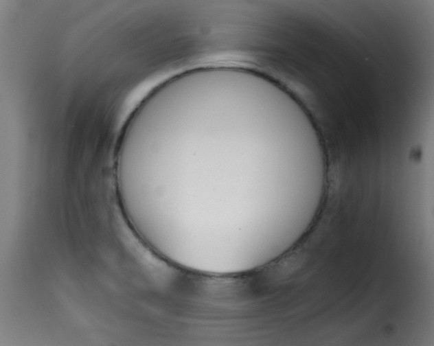 X0000115481470200911201828