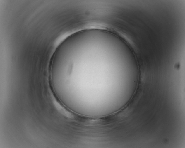 X0000115481471200911201828