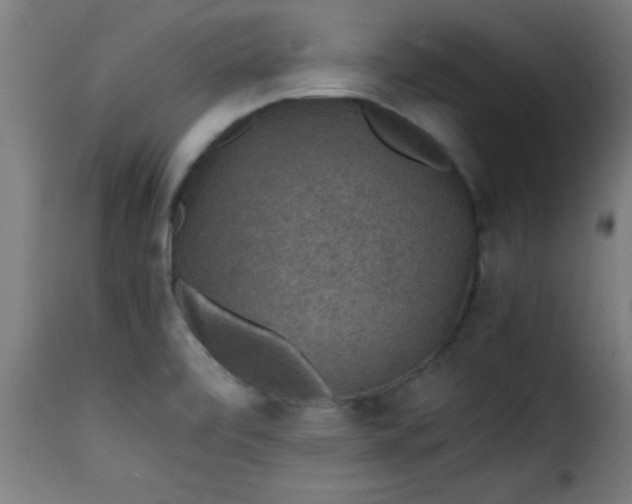 X0000115481472200911201828