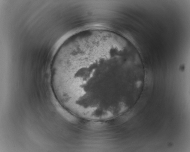 X0000115481474200911201828