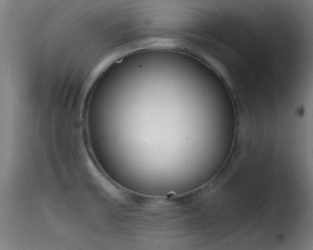 X0000115481475200911201828