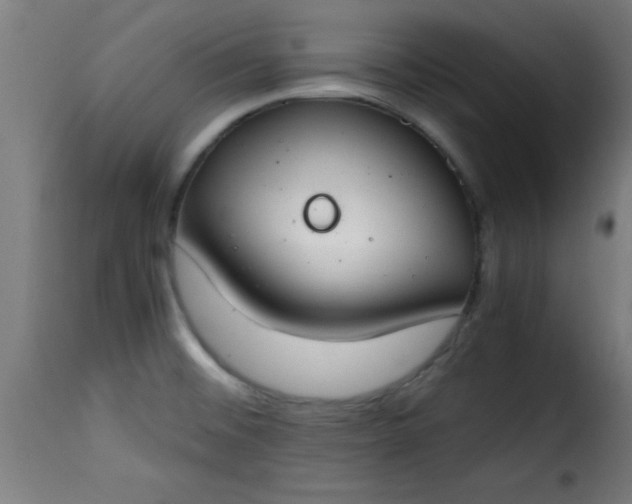 X0000115481476200911201828