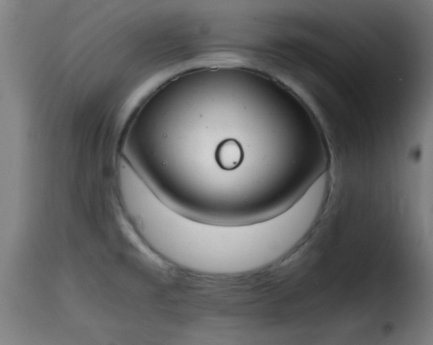 X0000115481477200911201828