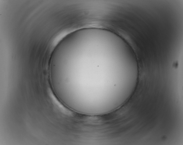 X0000115481479200911201828