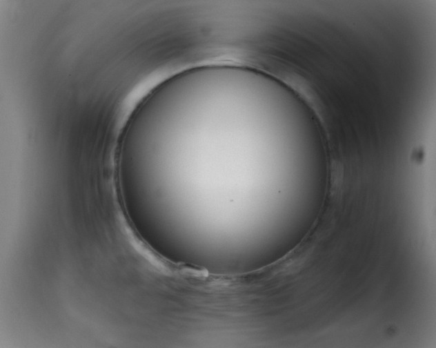 X0000115481480200911201828