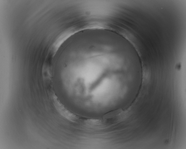 X0000115481481200911201828