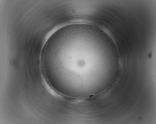 X0000115481482200911201828