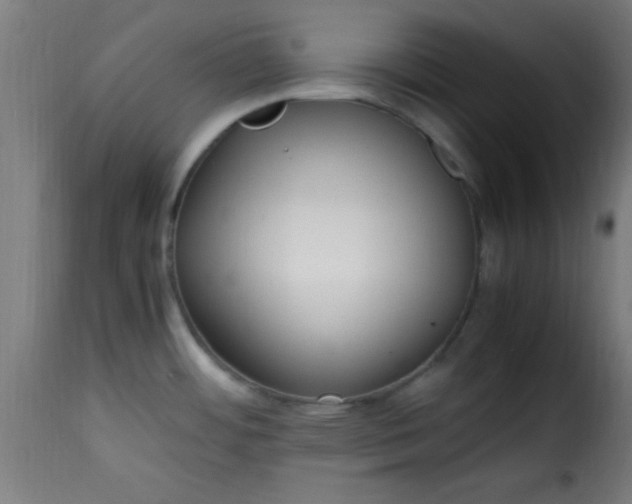 X0000115481484200911201828