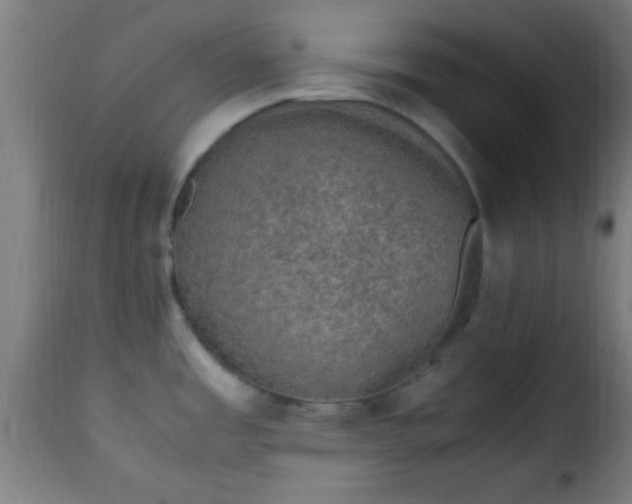 X0000115481485200911201828