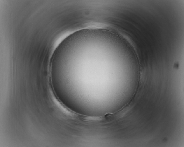 X0000115481487200911201828